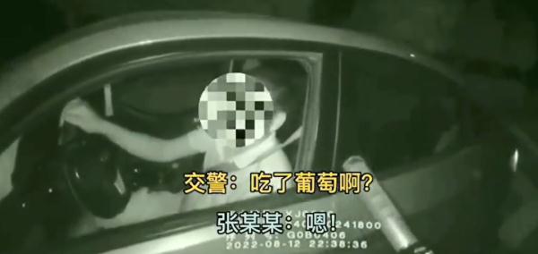 酒駕司機遇查，反複“甩鍋”葡萄稱自己沒喝酒……