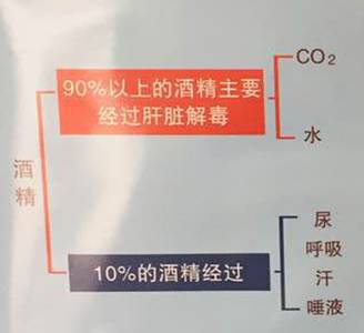 酒後駕駛危害多，你都知道哪些？